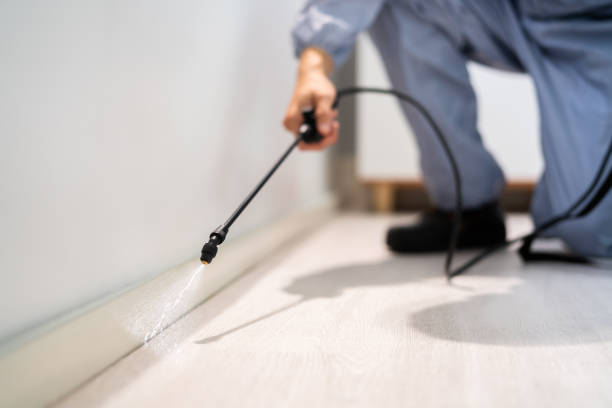 Licensed Termite Control service in Milton, GA - Nex Pest Control