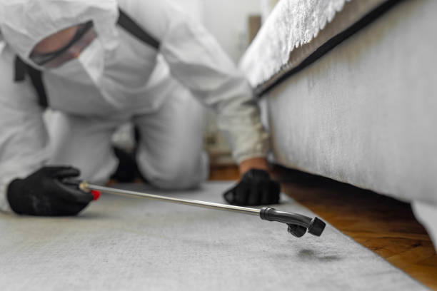 Professional Termite Control technician working in Milton, GA