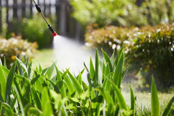 24/7 Emergency Termite Control experts in Milton, GA