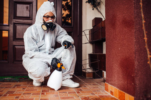 Reliable Termite Control contractor in Milton, GA by Nex Pest Control