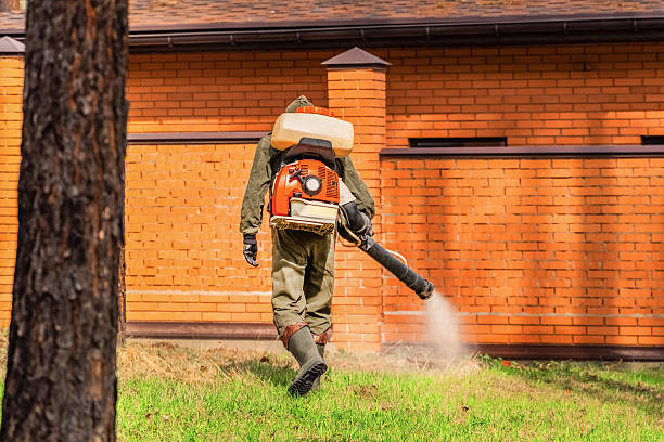 Top rated local Termite Control specialists in Milton, GA